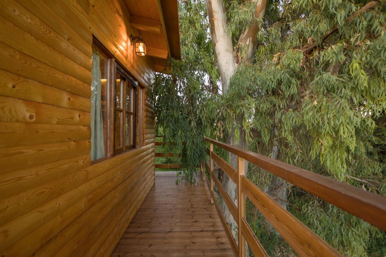 River Treehouse Laganas Exteriér fotografie