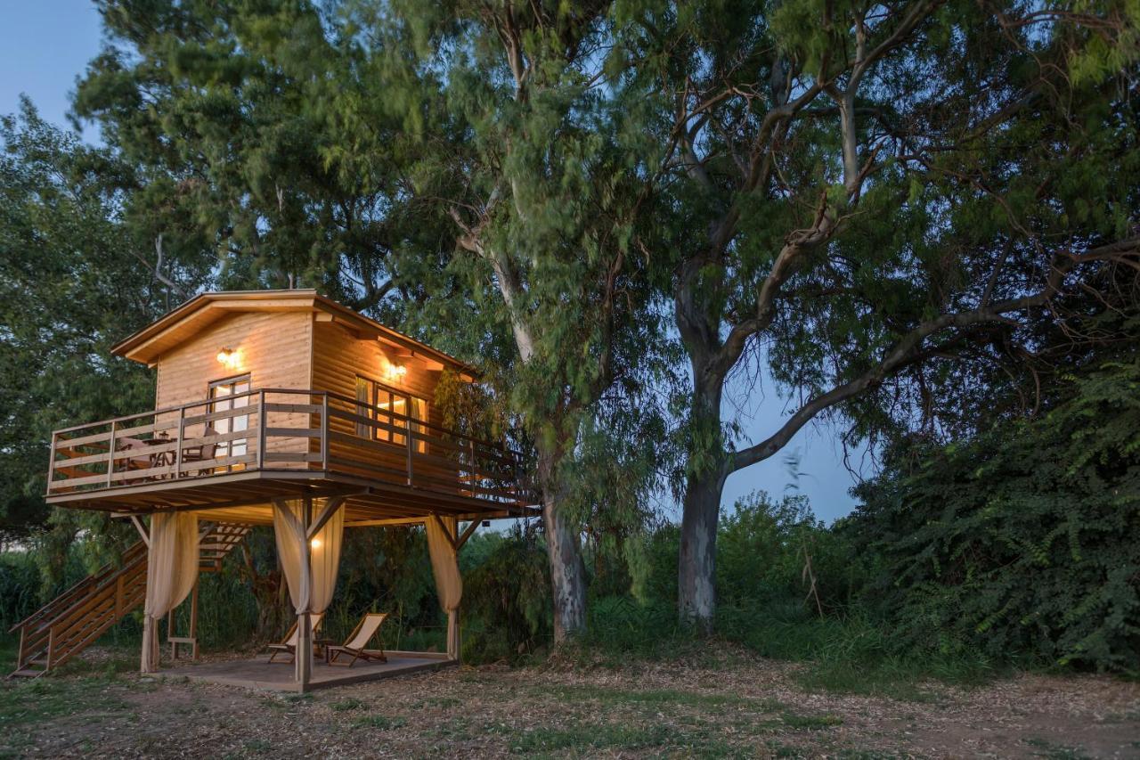 River Treehouse Laganas Exteriér fotografie