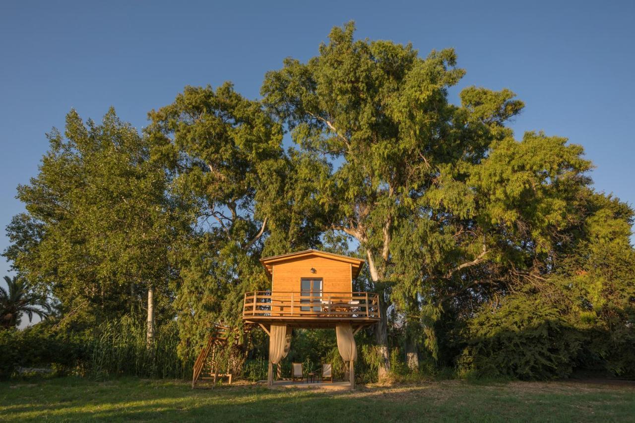 River Treehouse Laganas Exteriér fotografie