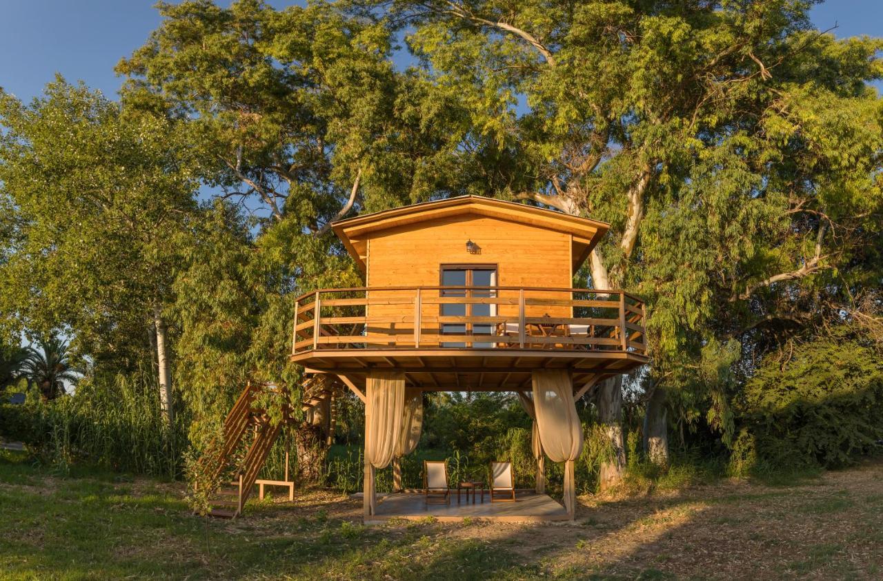 River Treehouse Laganas Exteriér fotografie