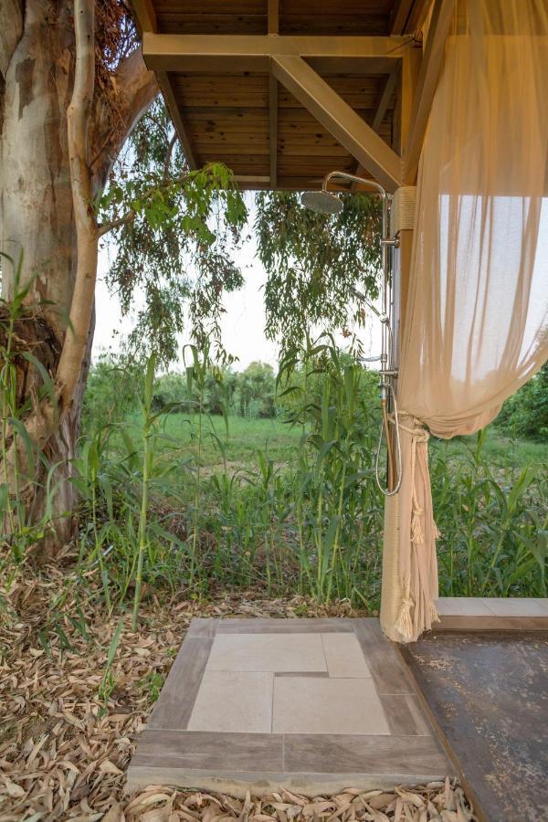 River Treehouse Laganas Exteriér fotografie